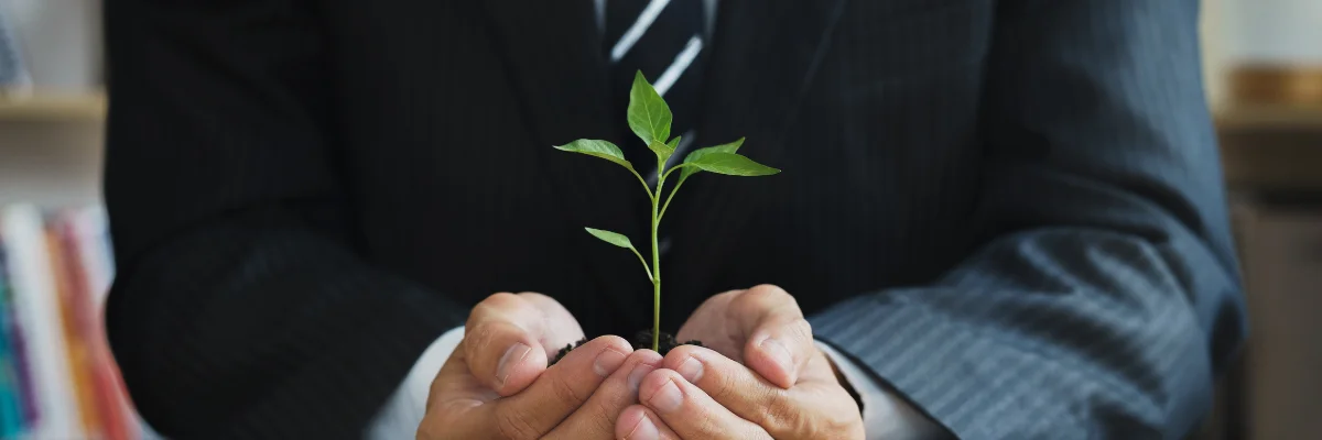 A business man holding a plant using his hands