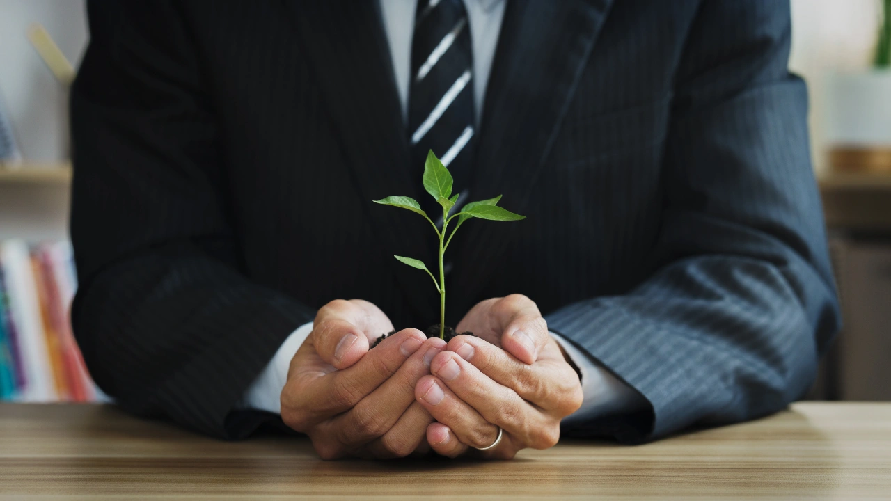 A businessman in a suit gently cradles a small green plant