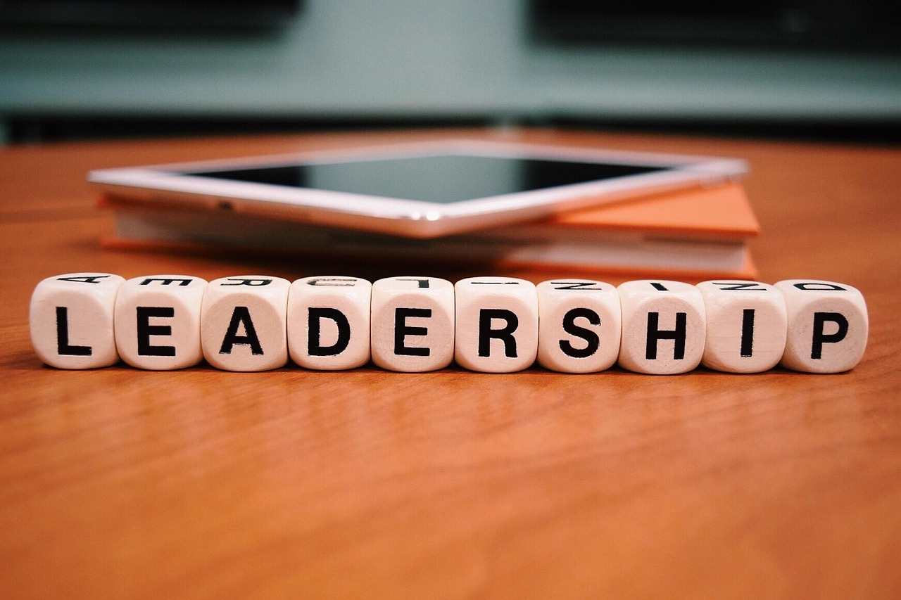 leadership development strategy